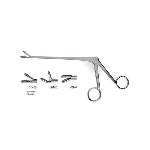 INTERVERTEBRAL DISC RONGEURS – Active Surgical Instruments